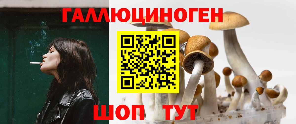 Печора  Галлюциногенные грибы ЛСД  Вход с VPN 
